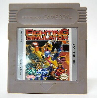 2 In 1: Flying Warriors / Fighting Simulator box art