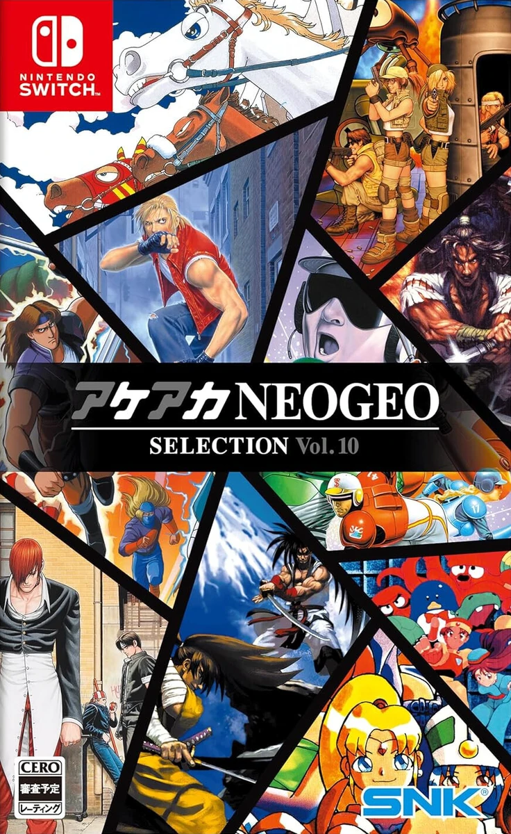 ACA NEOGEO Selection Vol. 10 box art