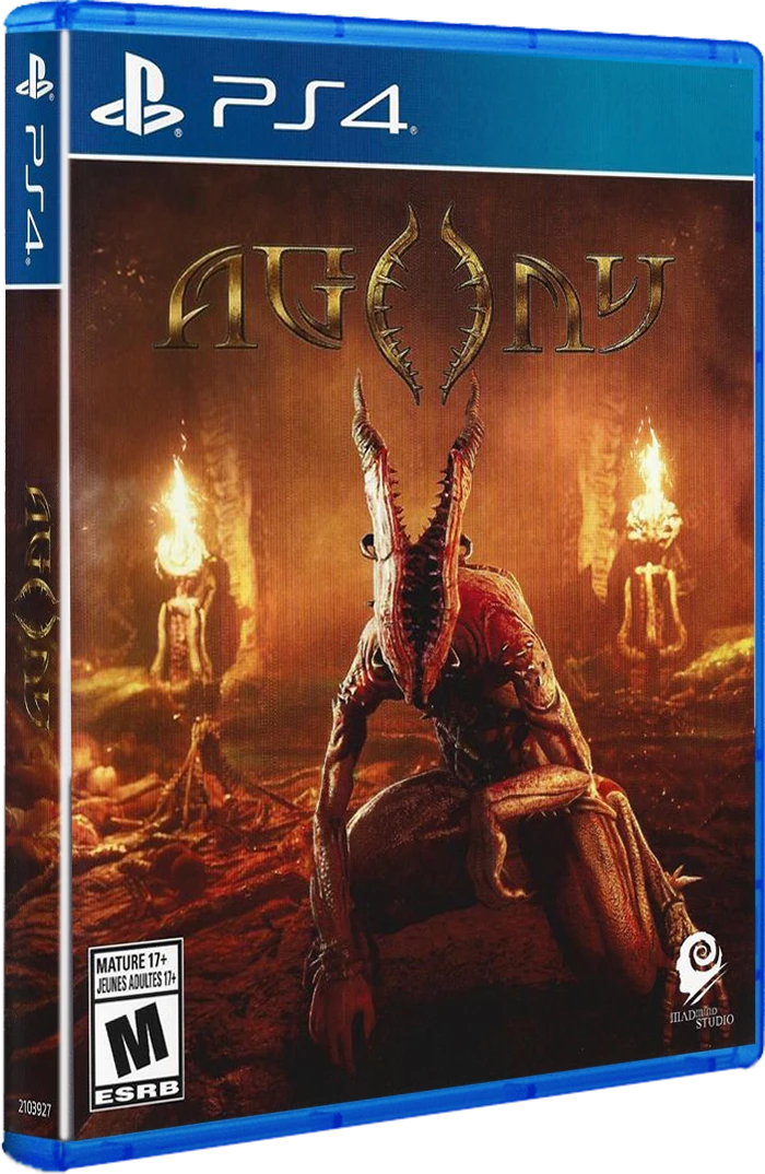 Agony box art