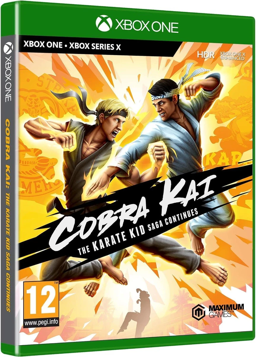 Cobra Kai: The Karate Kid Saga Continues box art