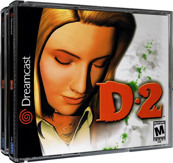 D2 box art
