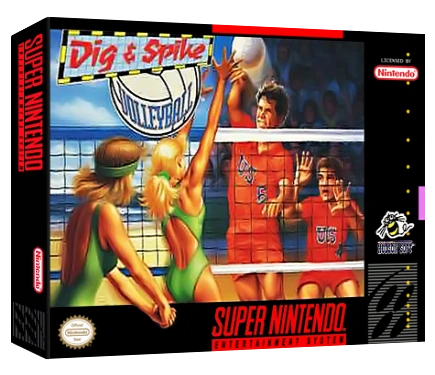 Dig and Spike Volleyball box art