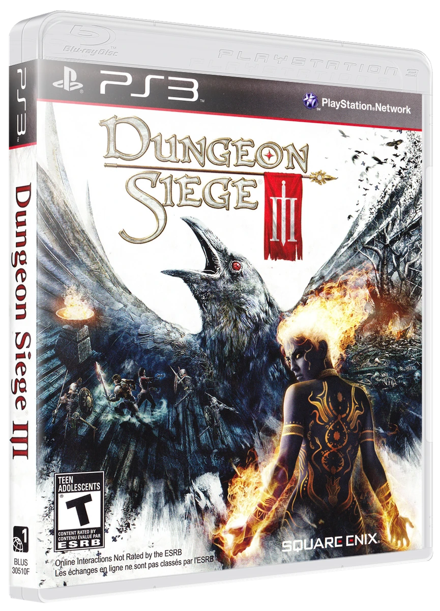 Dungeon Siege III box art