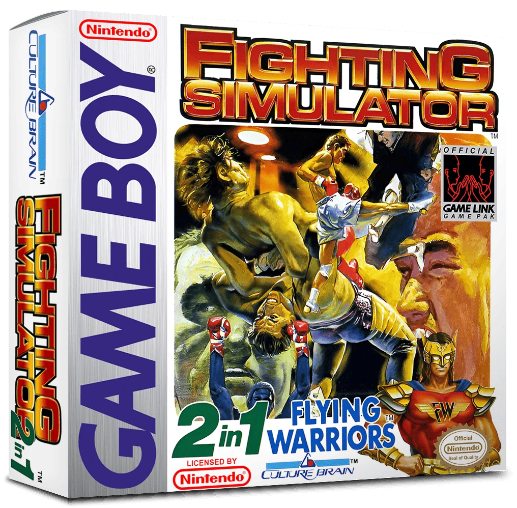Fighting Simulator: 2-in-1 Flying Warriors box art