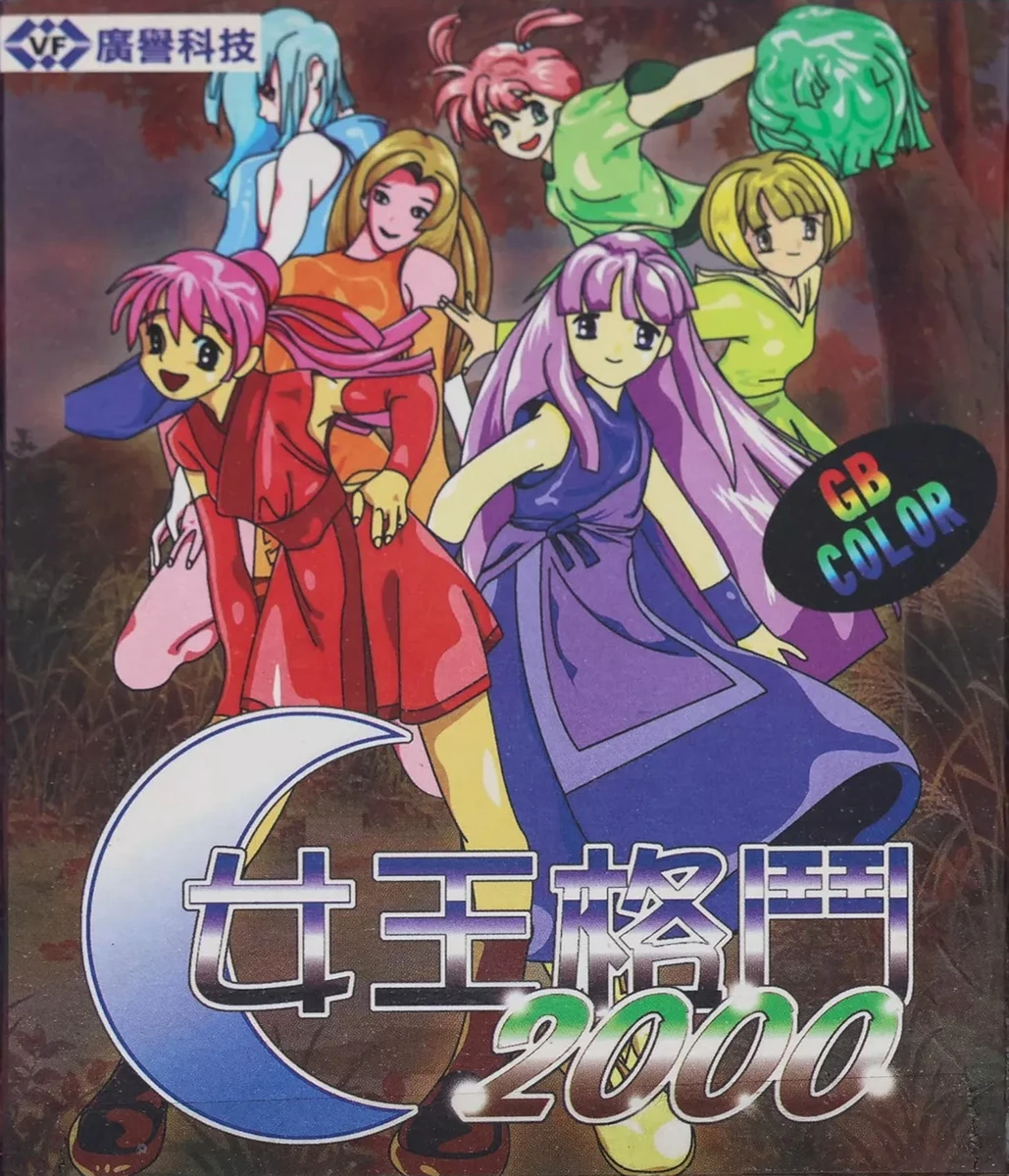 Gals Fighters box art