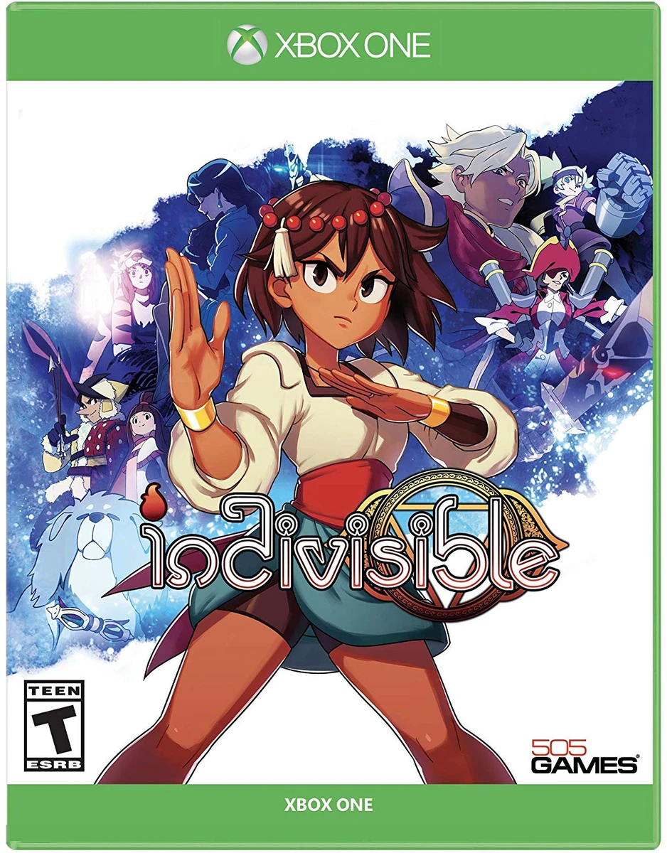 Indivisible box art