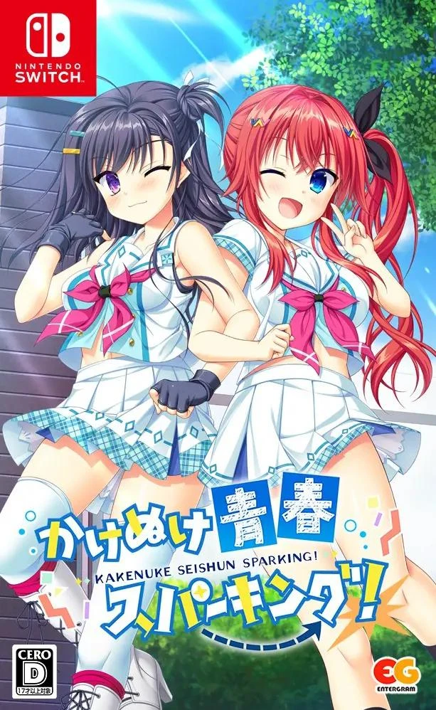 Kakenuke Seishun Sparking box art