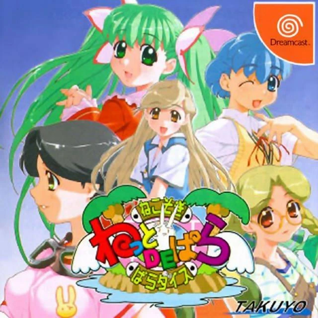 Netto de Para box art