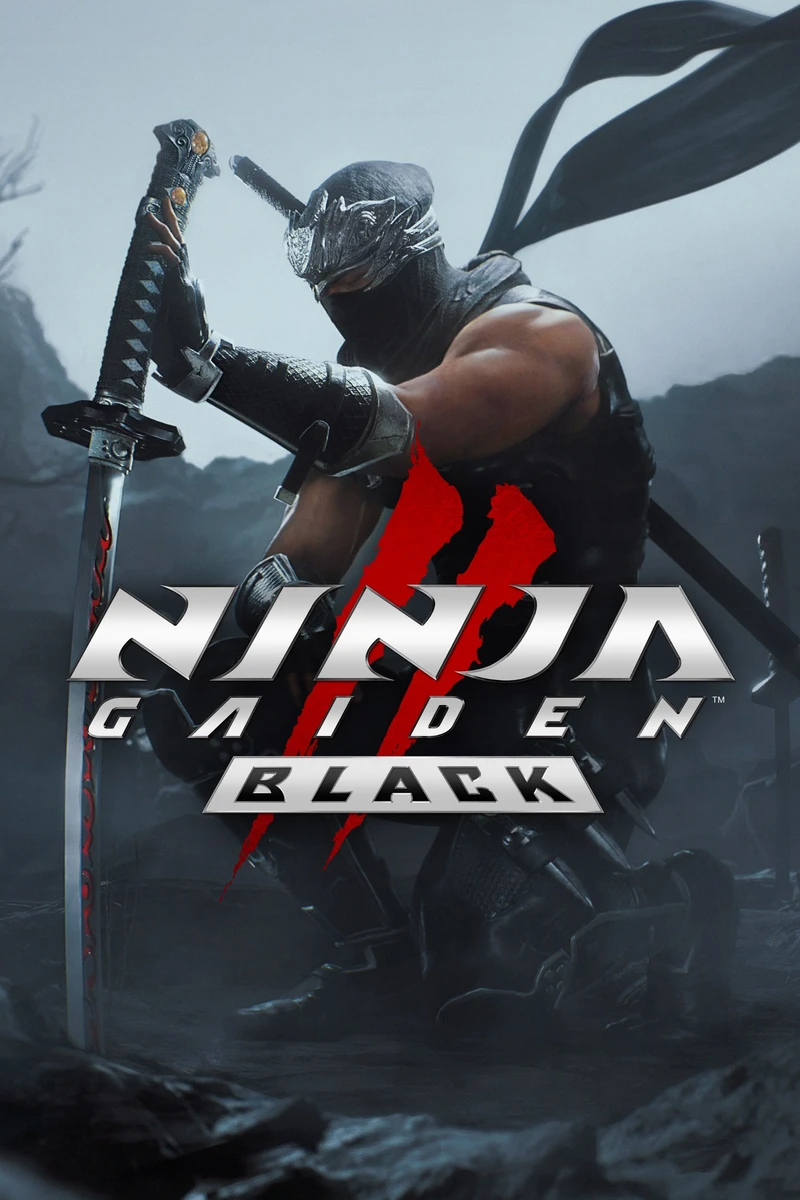 Ninja Gaiden 2 Black box art