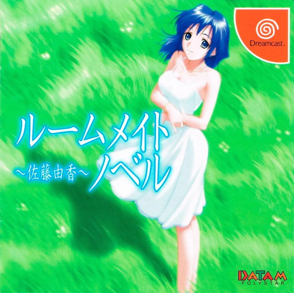 Roommate Novel box art