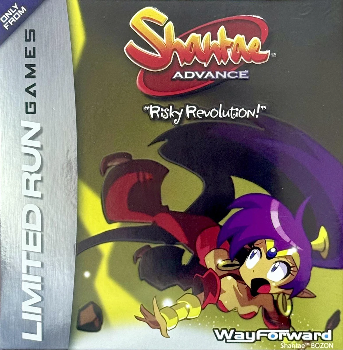 Shantae Advance: Risky Revolution [Collector's Edition] box art