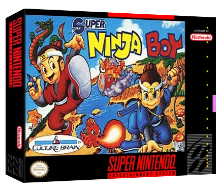 Super Ninja Boy box art