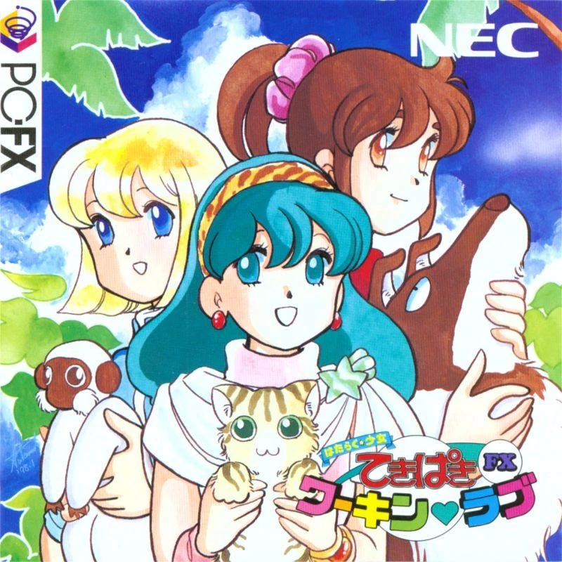 Tekipaki Working Love FX box art