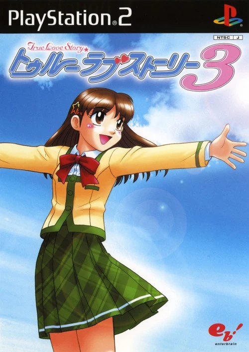 True Love Story 3 box art