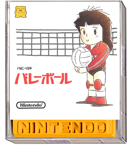 Volleyball box art